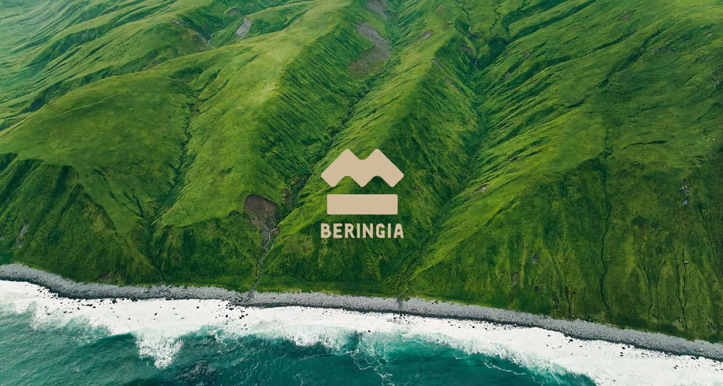 The Search For Volcano Island – Beringia